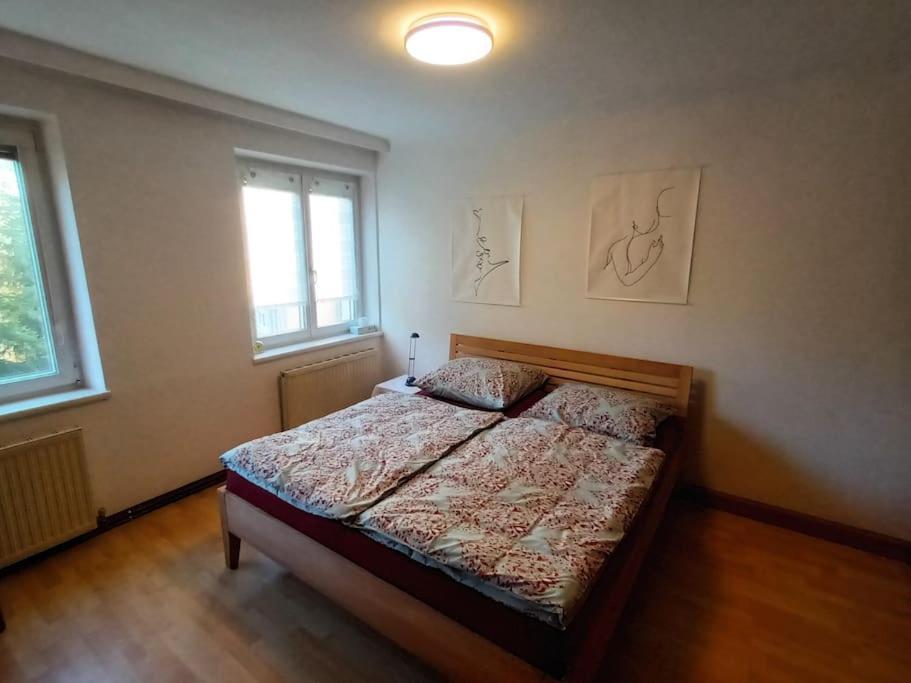 Modernes Apartment In Wien מראה חיצוני תמונה